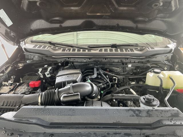 2025 Ford Super Duty F-350 SRW Pickup XLT TREMOR