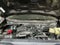 2024 Ford Super Duty F-350 SRW Pickup XL